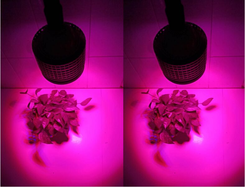 54W 전체 스펙트럼 LED 성장 조명 전구 실내 식물에 대 한 조명 성장 식물 조명 수경법에 대 한 램프 성장